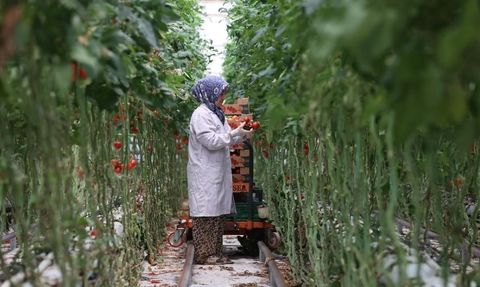 Türkiye'nin Jeotermal Enerji Yatırımları 2025'te Hamle Yaptı