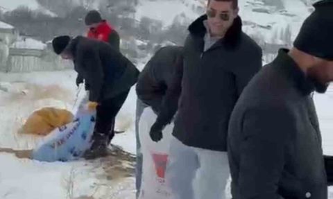 Yüksekova'da Dağ Keçileri İçin Şefkatli Müdahale