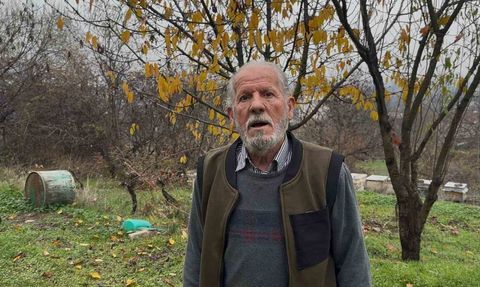 Zirai İlaçlar Arıların Katili Oluyor