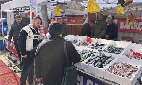 Zonguldak'ta Hamsi Yoğunluğu ve Palamut Eksikliği