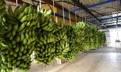 Antalya Ticaret Borsası Aralık 2025 Hal Endeksi Açıklandı