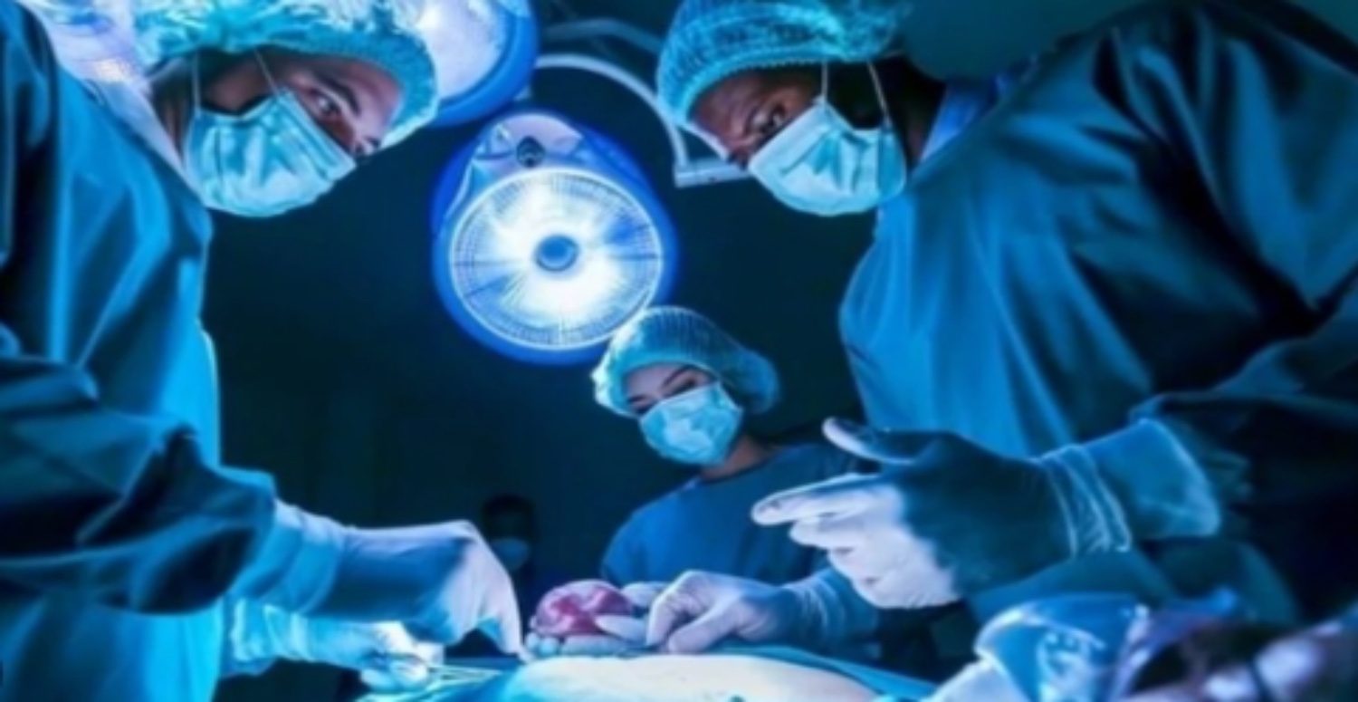 Domuzdan böbrek nakli yapılan kişi hayatını kaybetti