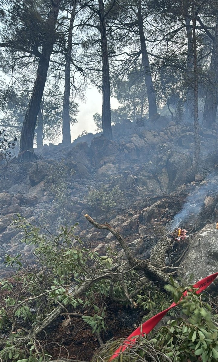 Adana'nın Feke ilçesinde ormanlık alanda çıkan yangına müdahale devam etti. 