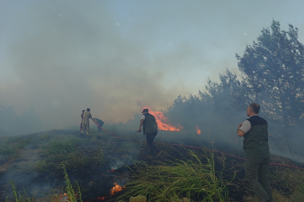 Adana'nın Kozan ilçesinde çıkan orman yangınına karadan ve havadan müdahale edildi.