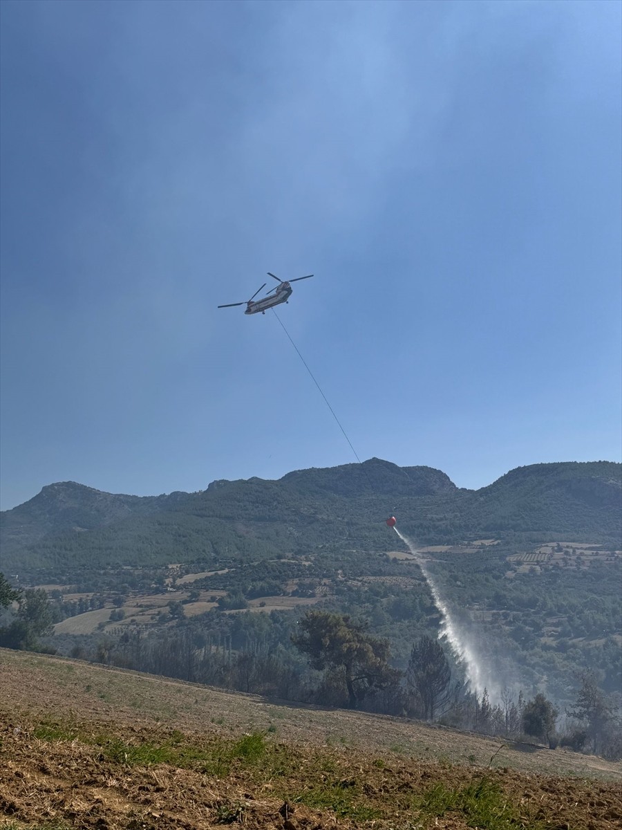 Adana'nın Kozan ilçesinde çıkan orman yangınına karadan ve havadan müdahale edildi.