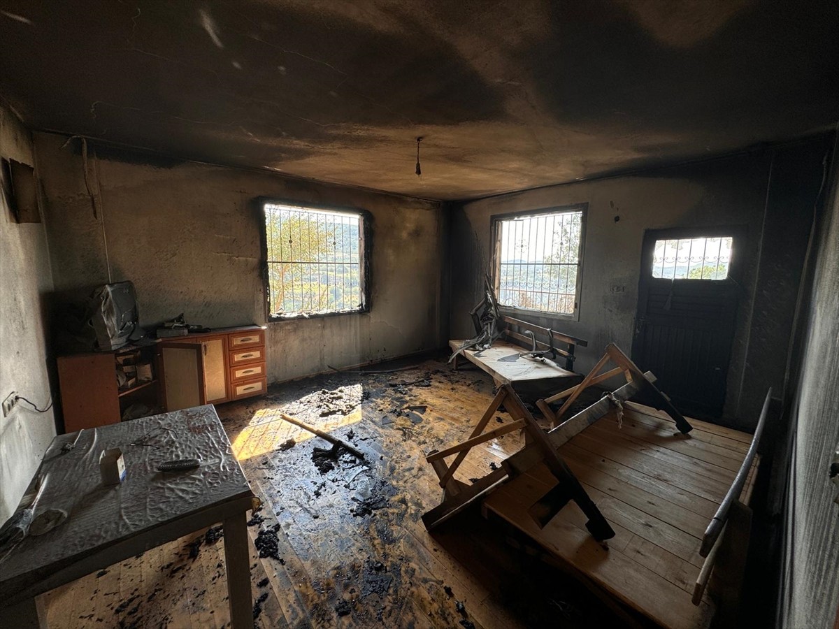 Adana'nın Kozan ilçesinde çıkan orman yangınına karadan ve havadan müdahale edildi.