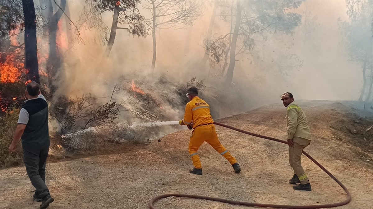 Adana'nın Kozan ilçesinde çıkan orman yangınına, Orman Bölge Müdürlüğü ekipleri tarafından karadan...
