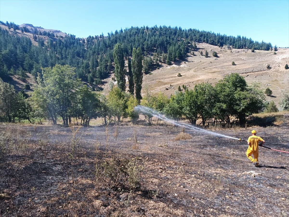 Adana'nın Saimbeyli ilçesinde ormanlık alana sıçrayan anız yangını kontrol altına alındı.