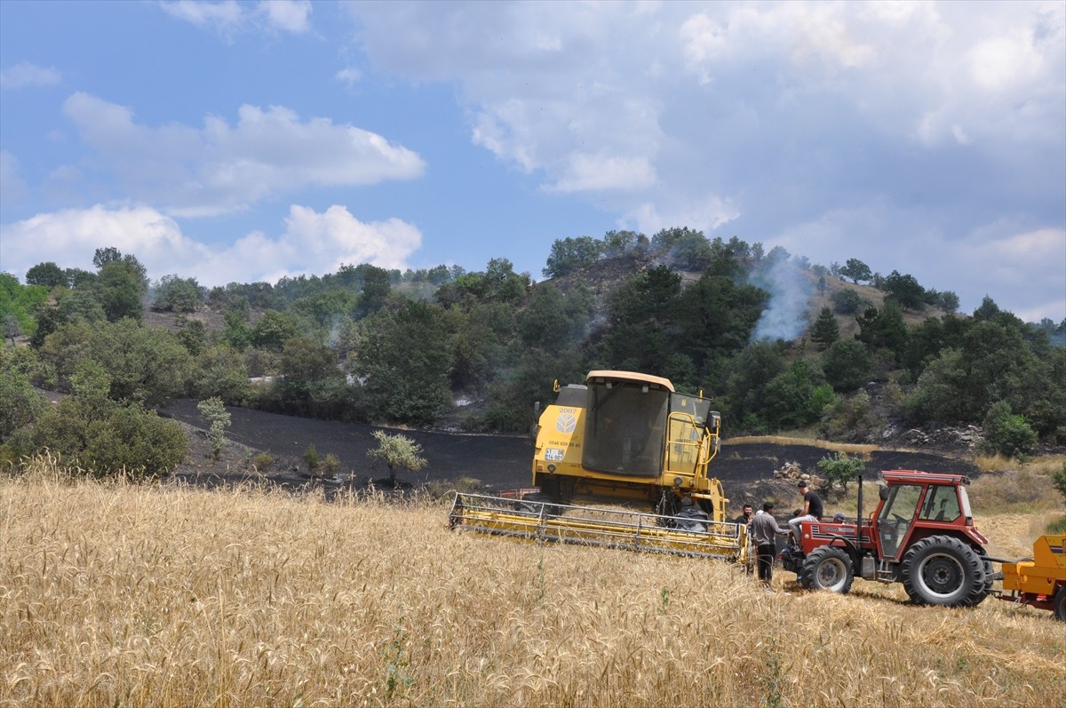 Amasya'nın Gümüşhacıköy ilçesinde, buğday ekili arazide çıkan yangın hasara yol açtı. 