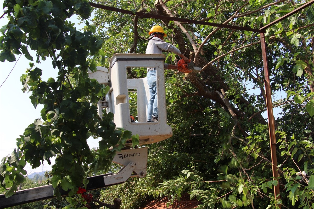 Antalya'da etkili olan sağanak ve fırtına nedeniyle ağaçlar devrildi.