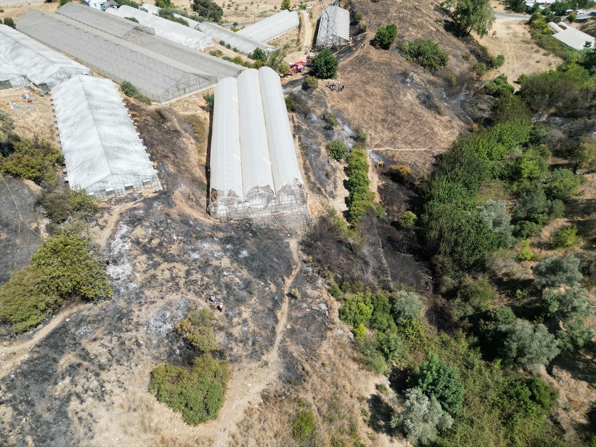 Antalya'nın Gazipaşa ilçesinde Karalar Mahallesi Gözüllü mevkisindeki ormanlık alanda henüz...