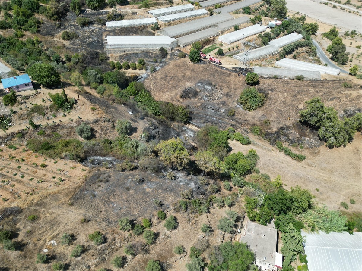 Antalya'nın Gazipaşa ilçesinde Karalar Mahallesi Gözüllü mevkisindeki ormanlık alanda henüz...