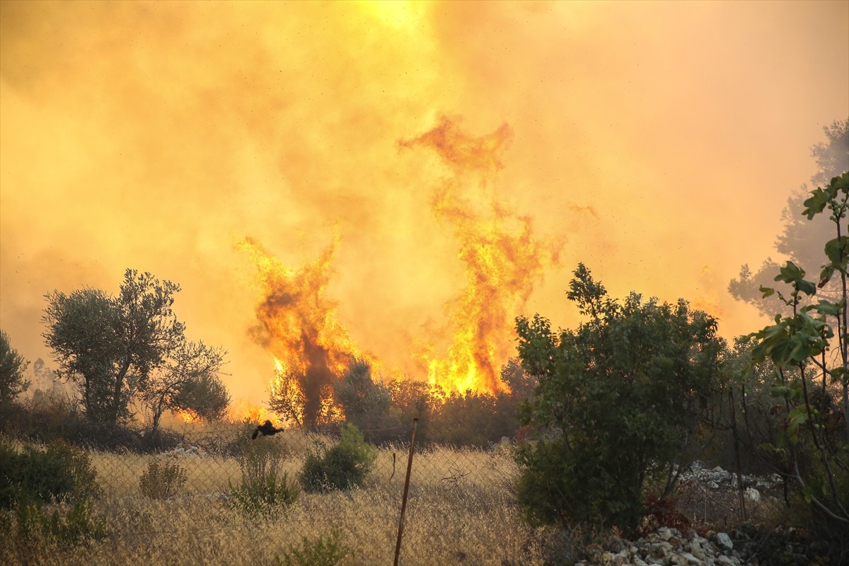 Antalya'nın Serik ilçesinde ormanlık alanda çıkan yangına havadan ve karadan müdahale...