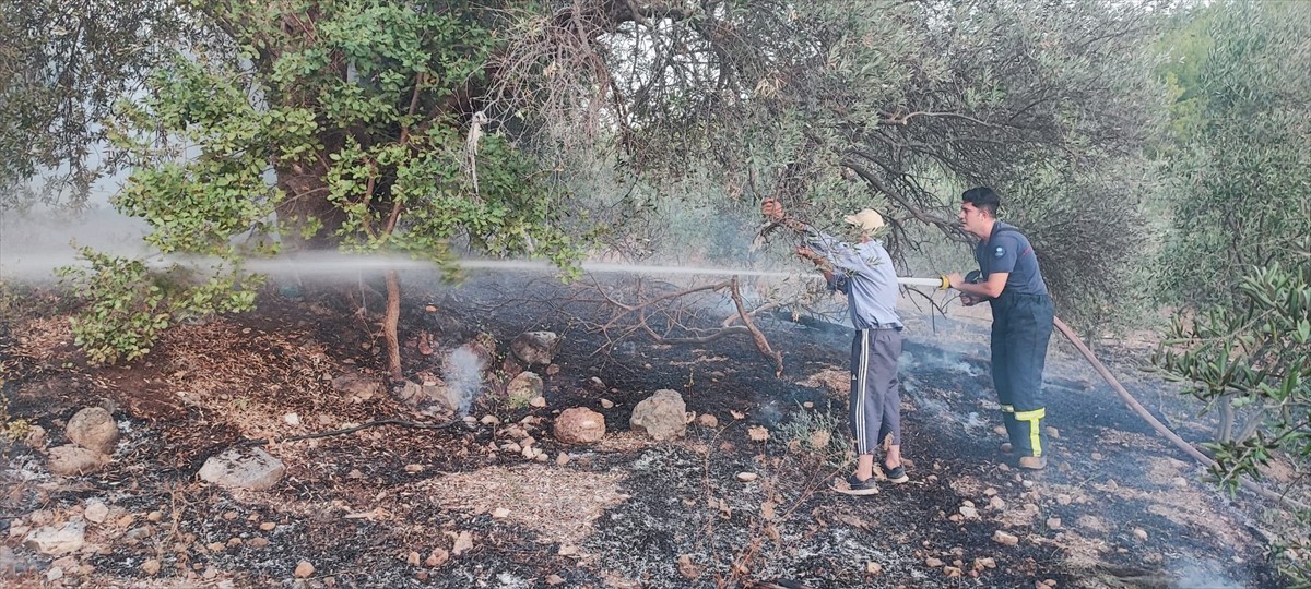 Antalya'nın Serik ilçesinde ormanlık alanda çıkan yangına havadan ve karadan müdahale edildi.