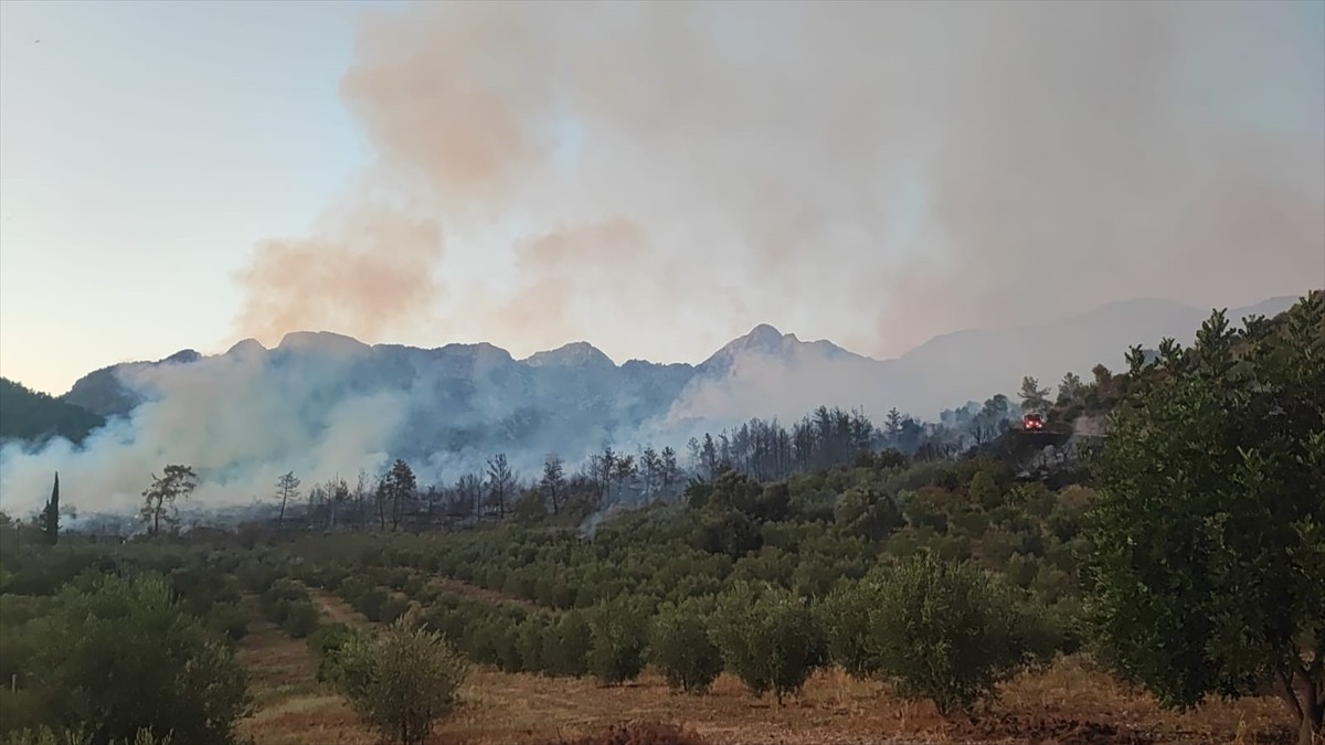Antalya'nın Serik ilçesinde ormanlık alanda çıkan yangına havadan ve karadan müdahale edildi.