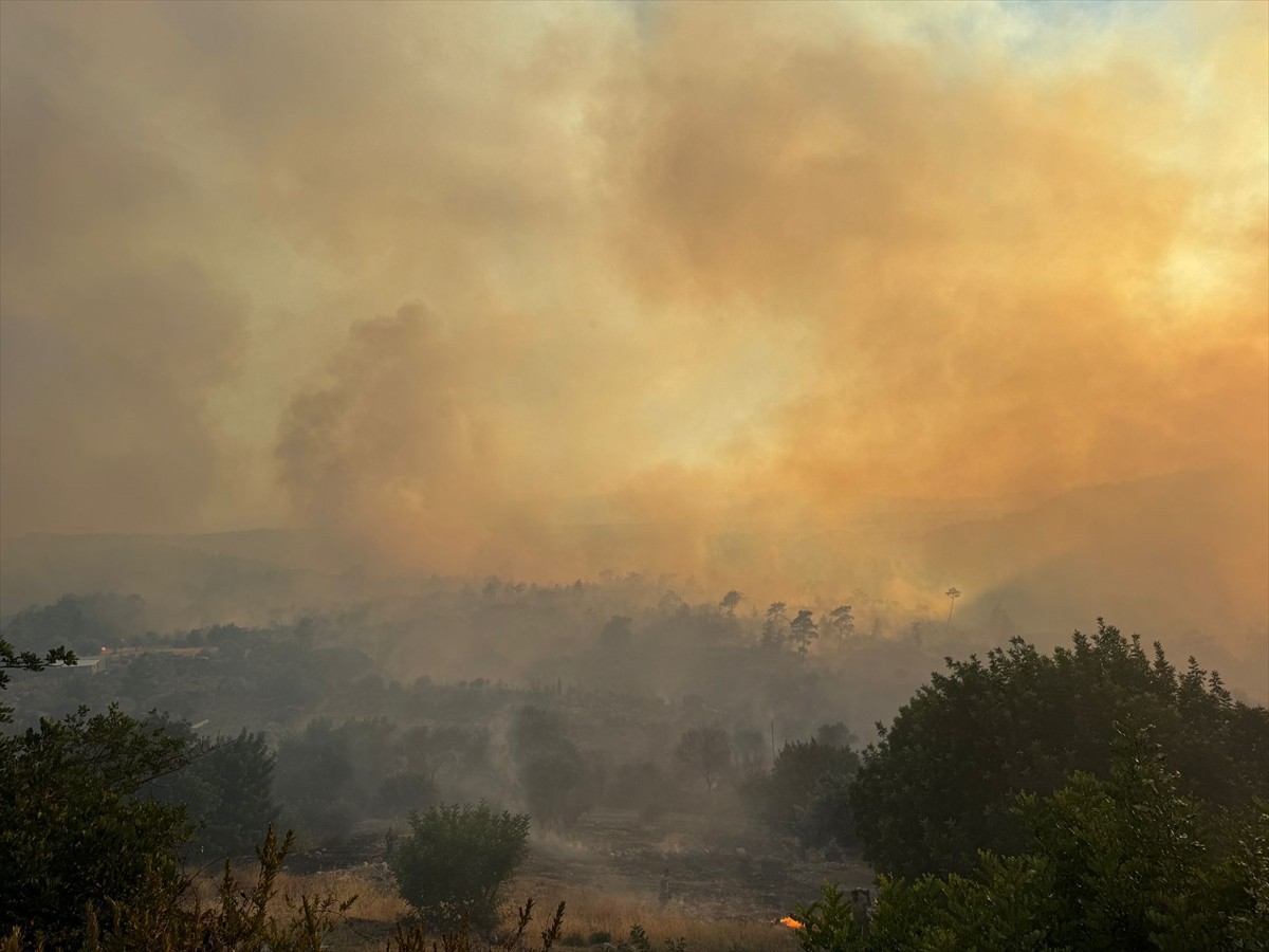 Antalya'nın Serik ilçesinde ormanlık alanda çıkan yangına havadan ve karadan müdahale edildi.