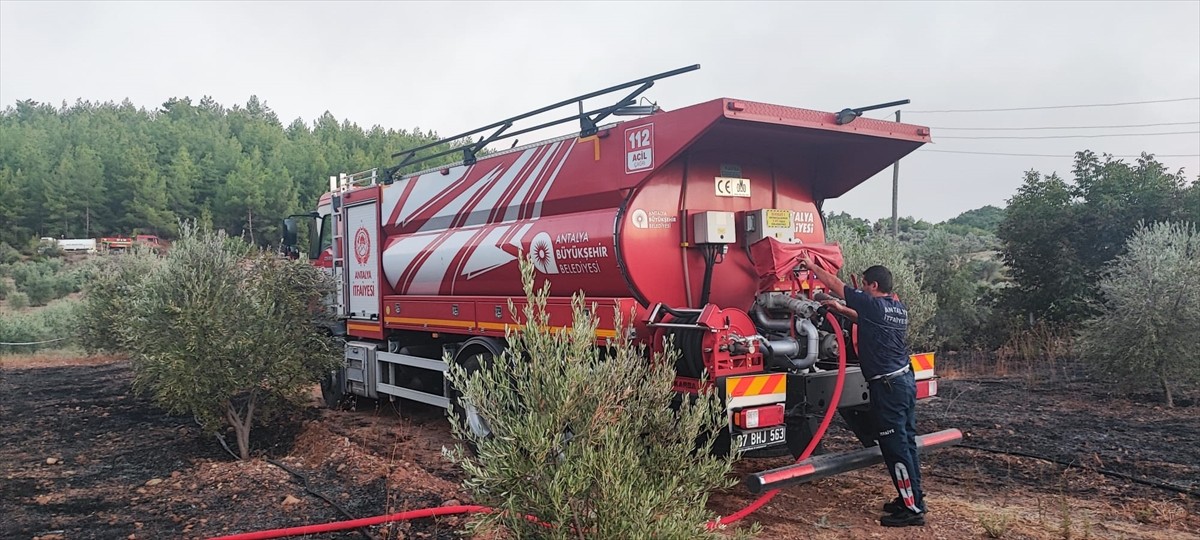 Antalya'nın Serik ilçesinde ormanlık alanda çıkan yangına havadan ve karadan müdahale edildi.