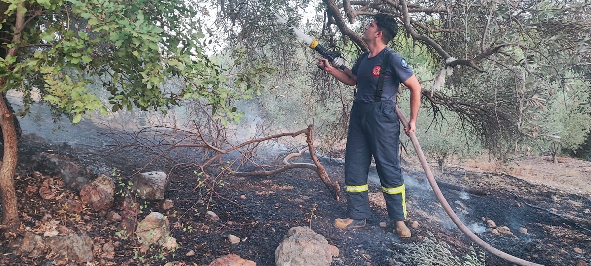Antalya'nın Serik ilçesinde ormanlık alanda çıkan yangına havadan ve karadan müdahale edildi.