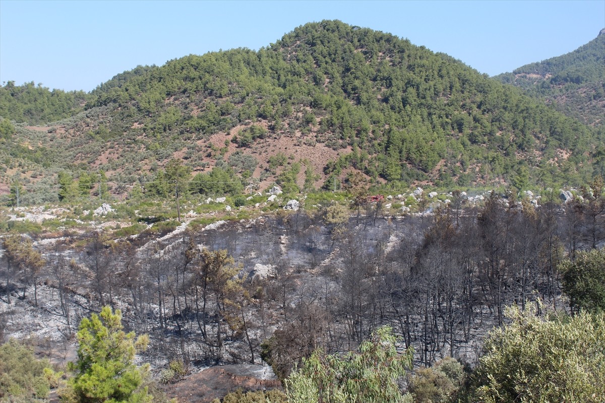 Antalya'nın Serik ilçesinde ormanlık alanda dün çıkan yangın, kontrol altına alındı.