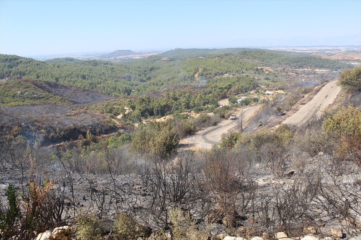 Antalya'nın Serik ilçesinde ormanlık alanda dün çıkan yangın, kontrol altına alındı.