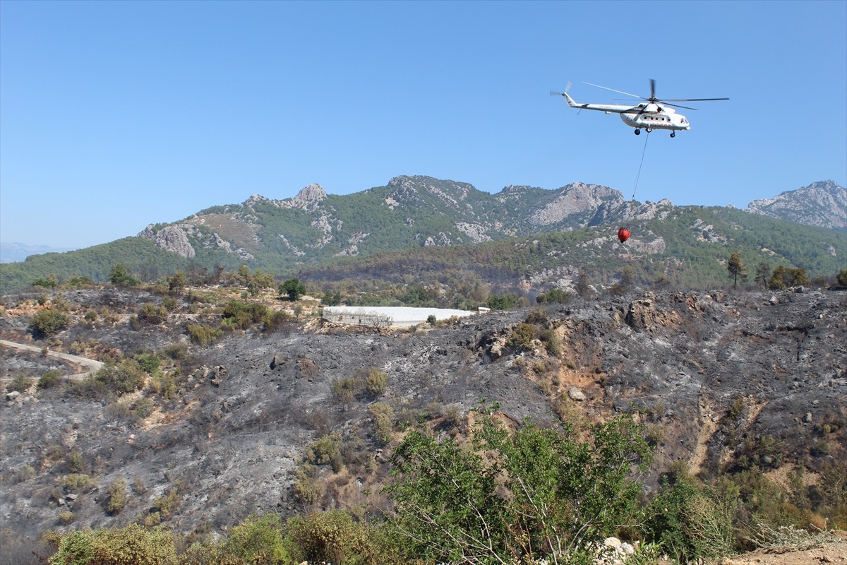 Antalya'nın Serik ilçesinde ormanlık alanda dün çıkan yangın, kontrol altına alındı.