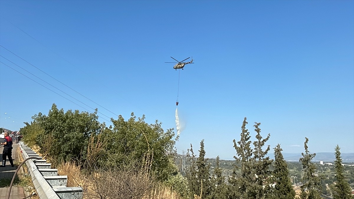 Aydın'da ağaçlık ve otluk alanda çıkan yangın, havadan ve karadan müdahaleyle kontrol altına...