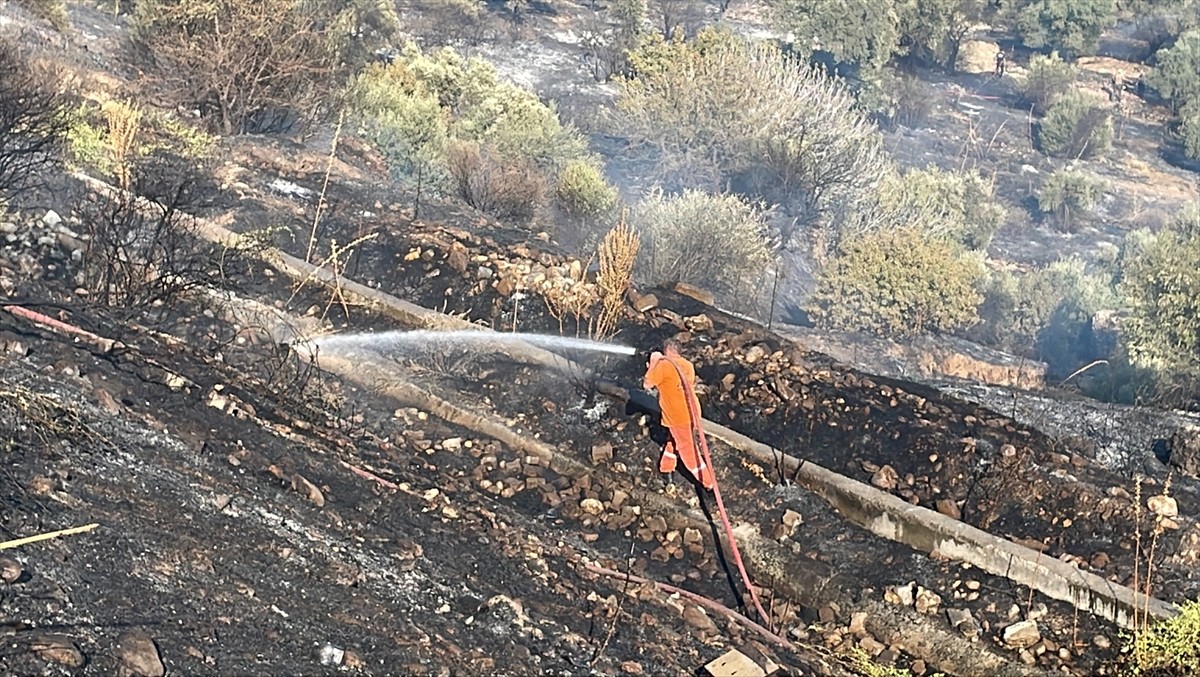 Aydın'da ağaçlık ve otluk alanda çıkan yangın, havadan ve karadan müdahaleyle kontrol altına...