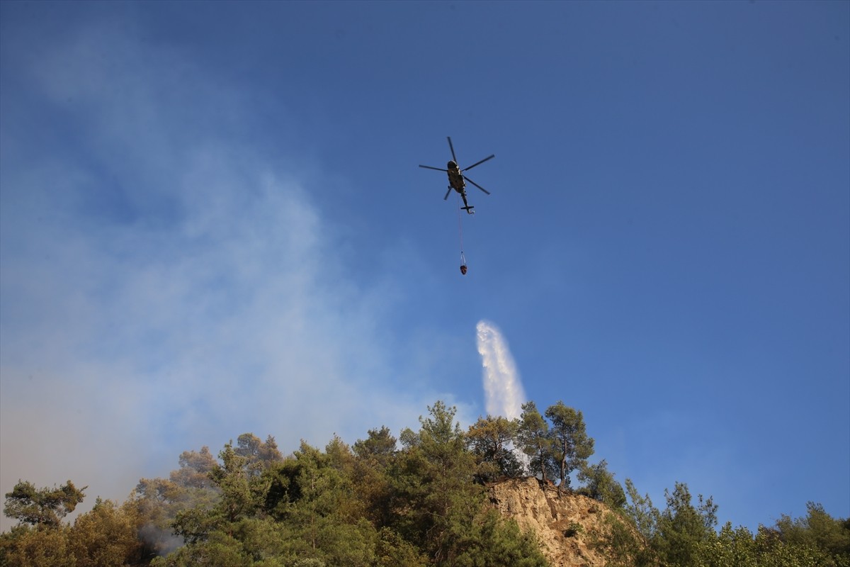 Aydın'ın Efeler ilçesinde, ormanlık ve zeytinlik alanda çıkan ve kontrol altına alınan yangın...