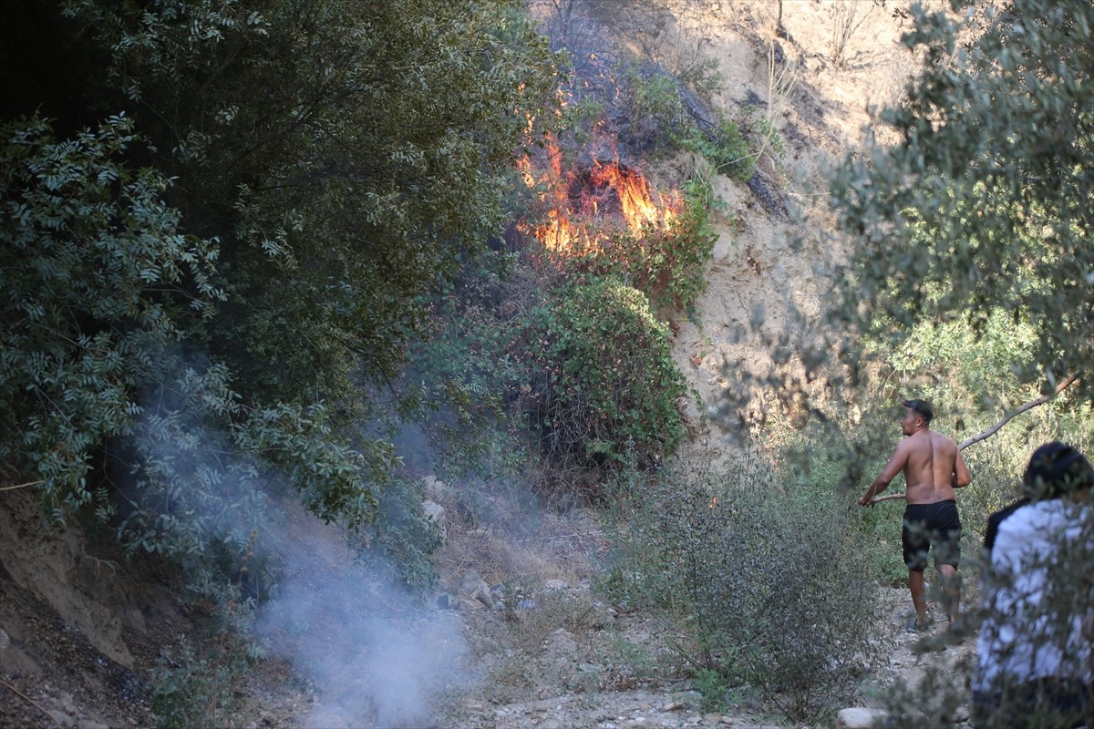 Aydın'ın Efeler ilçesinde, ormanlık ve zeytinlik alanda çıkan ve kontrol altına alınan yangın...