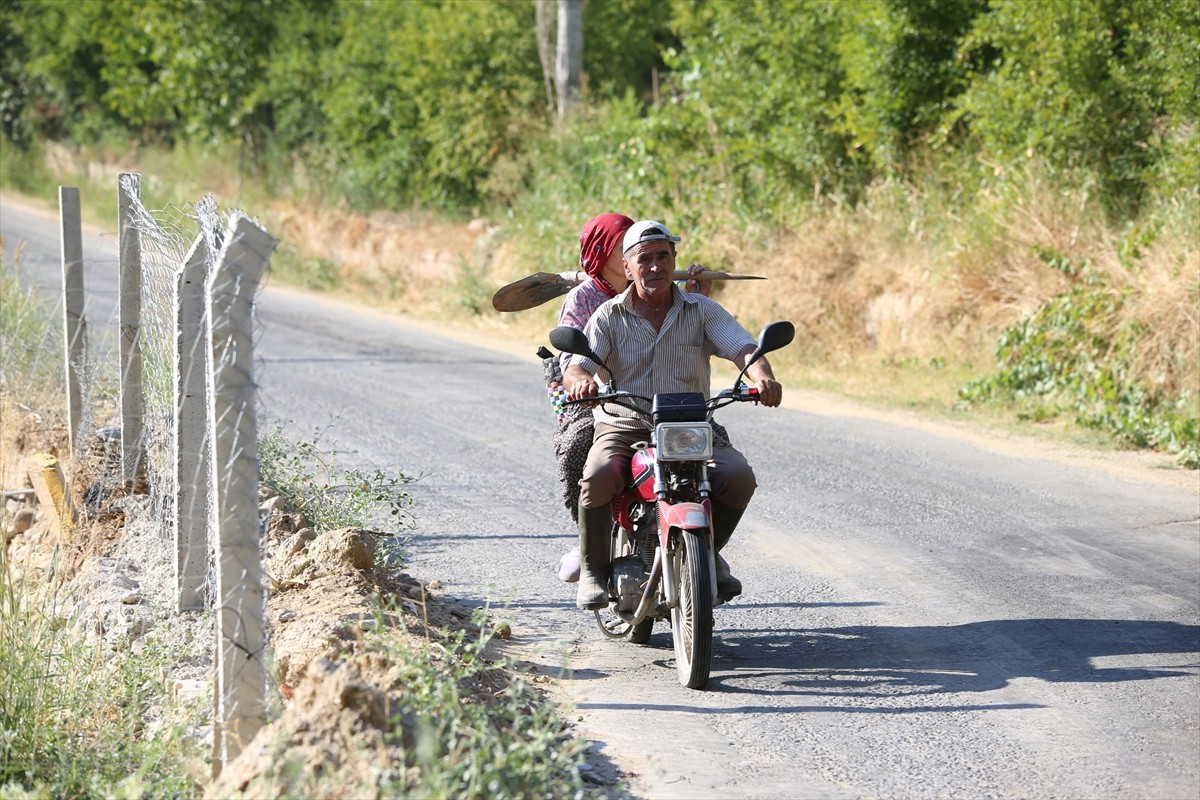 Aydın'ın Efeler ilçesinde, ormanlık ve zeytinlik alanda çıkan ve kontrol altına alınan yangın...