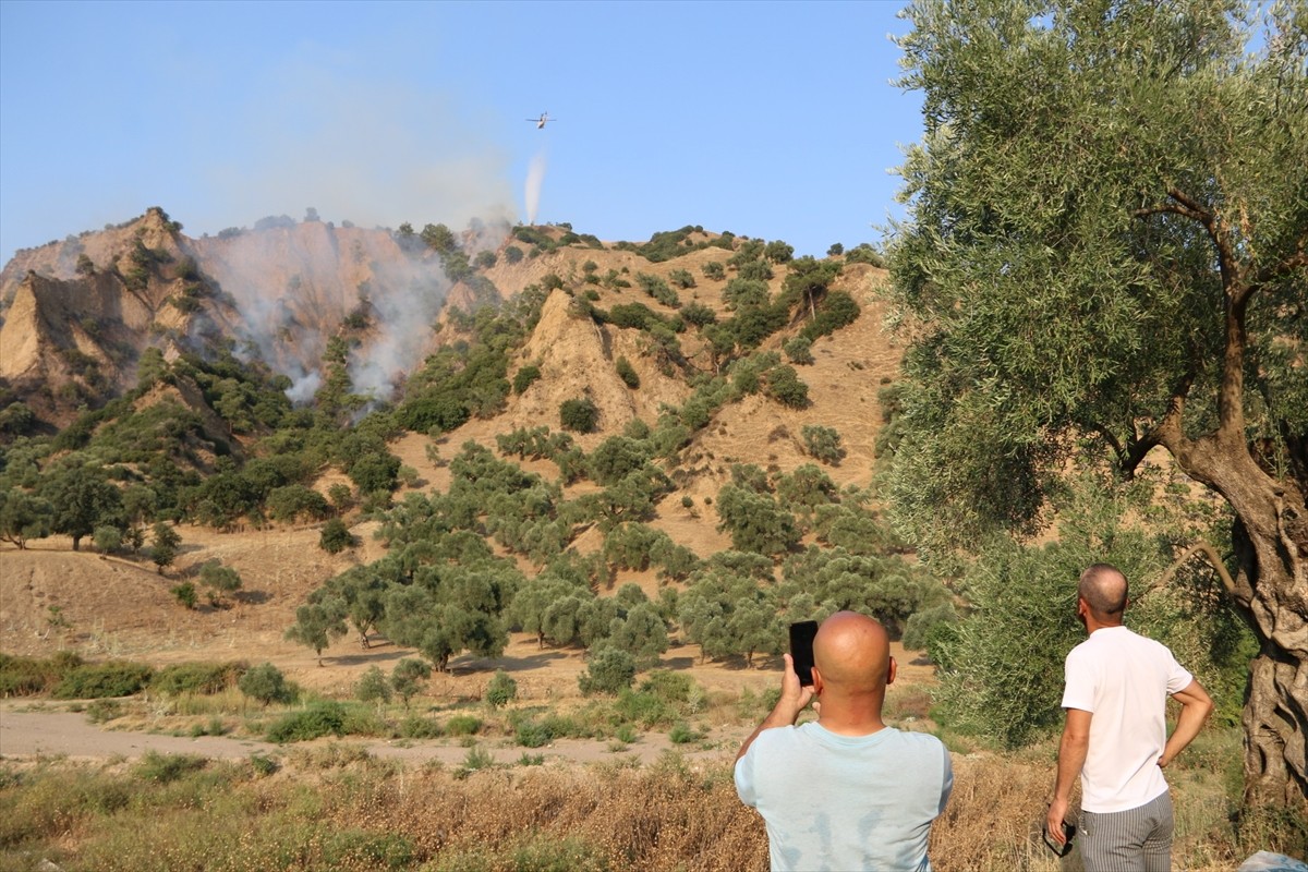 Aydın'ın Nazilli ilçesinde zeytinlik ve ormanlık alanda çıkan yangın kontrol altına...