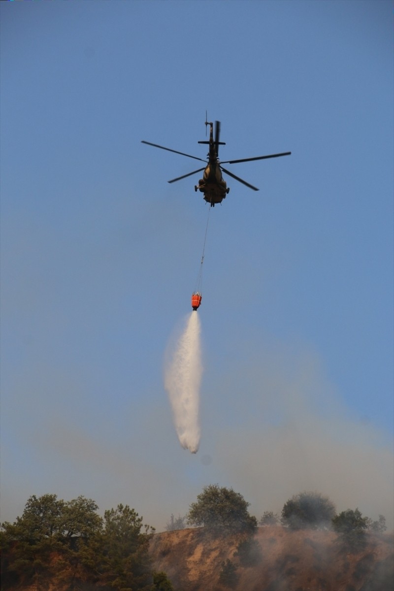 Aydın'ın Nazilli ilçesinde zeytinlik ve ormanlık alanda çıkan yangın kontrol altına...