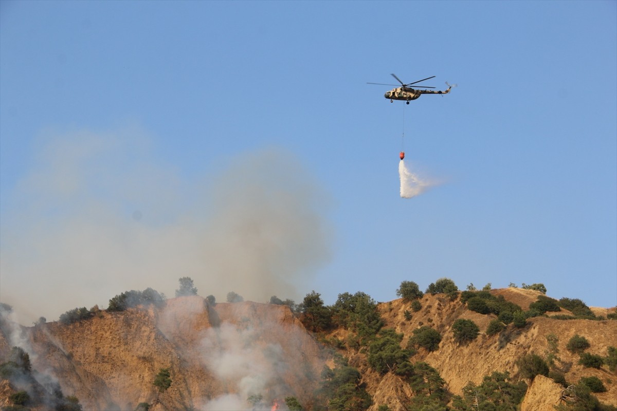 Aydın'ın Nazilli ilçesinde zeytinlik ve ormanlık alanda çıkan yangın kontrol altına...