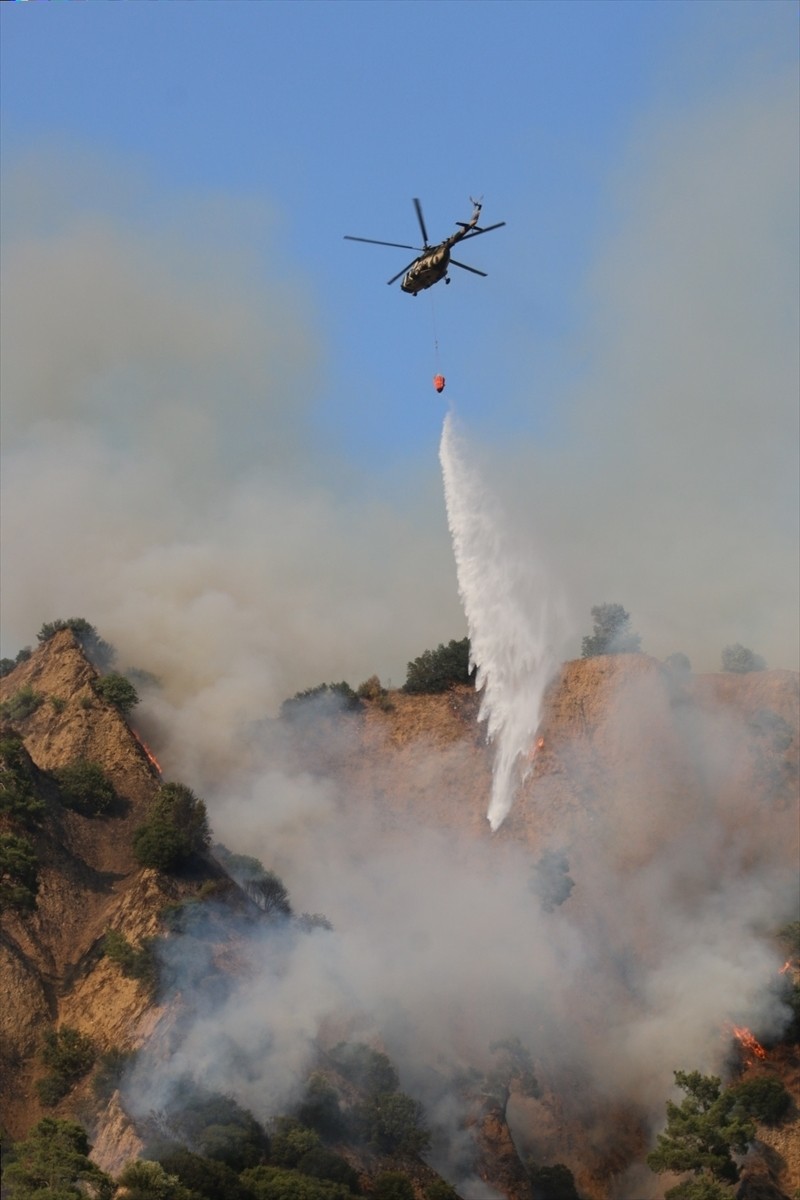 Aydın'ın Nazilli ilçesinde zeytinlik ve ormanlık alanda çıkan yangın kontrol altına...