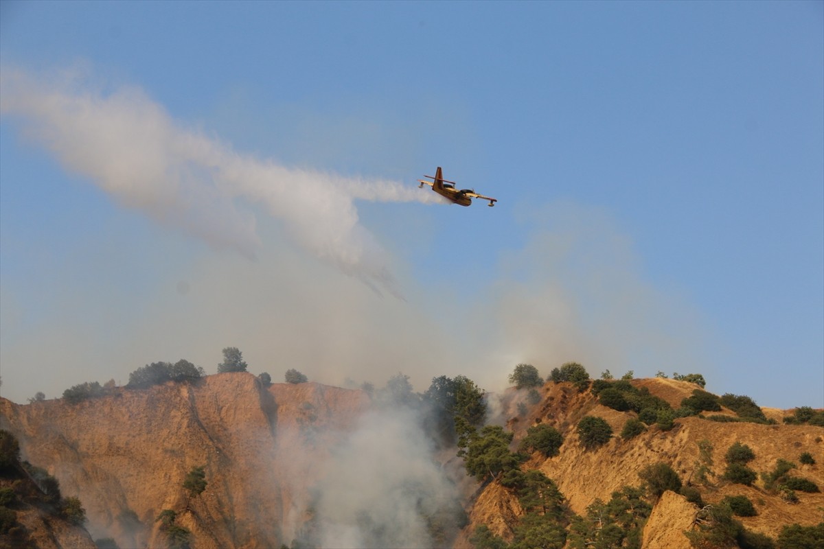 Aydın'ın Nazilli ilçesinde zeytinlik ve ormanlık alanda çıkan yangın kontrol altına...