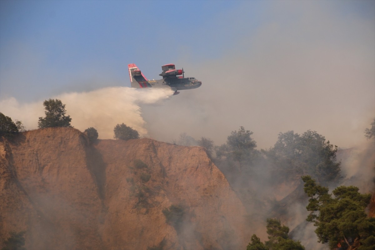 Aydın'ın Nazilli ilçesinde zeytinlik ve ormanlık alanda çıkan yangın kontrol altına...