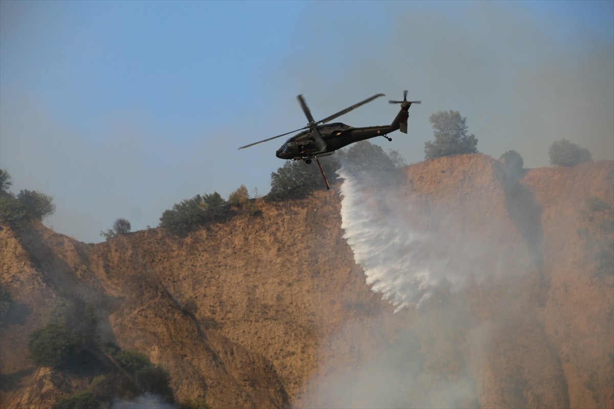 Aydın'ın Nazilli ilçesinde zeytinlik ve ormanlık alanda çıkan yangın kontrol altına...