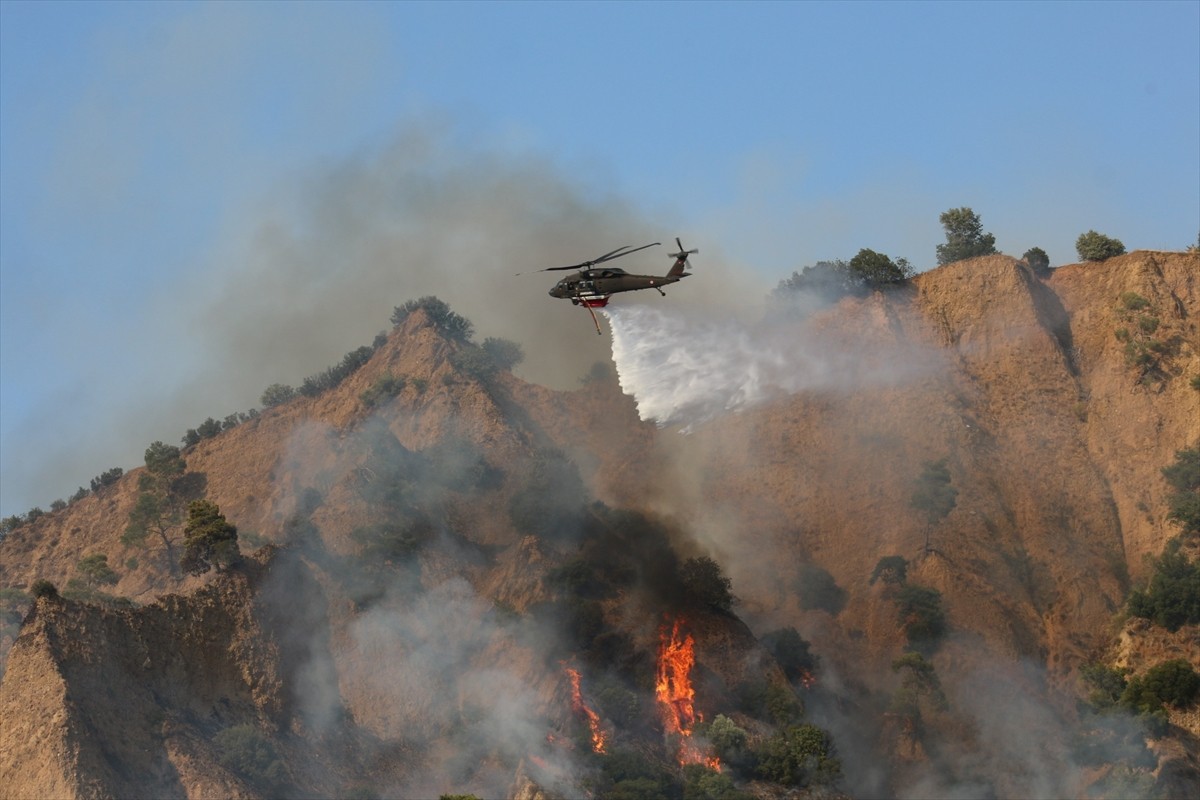 Aydın'ın Nazilli ilçesinde zeytinlik ve ormanlık alanda çıkan yangın kontrol altına...