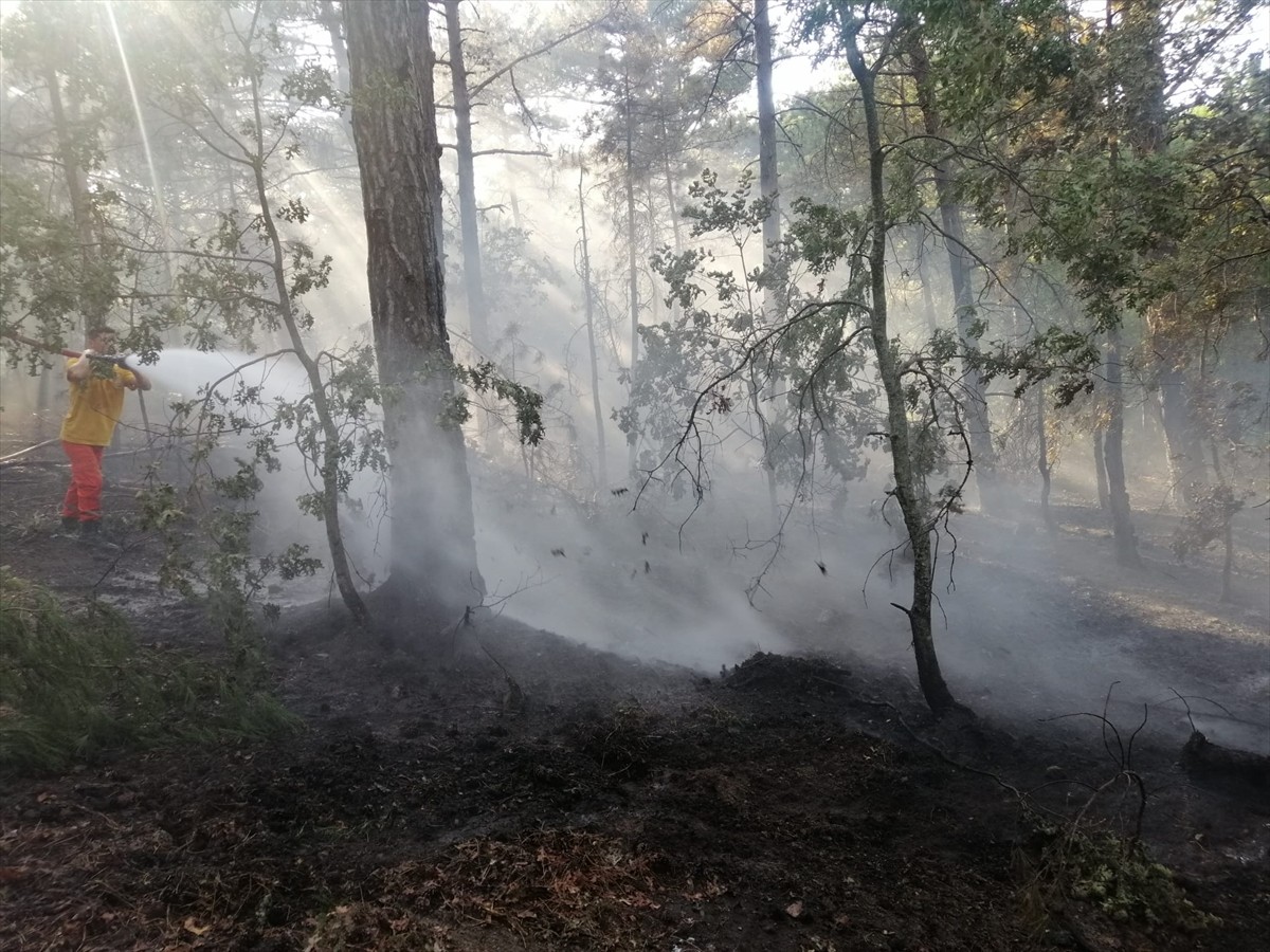 Balıkesir'in Havran ilçesinde ormanlık alanda çıkan yangının kontrol altına alınması için havadan...