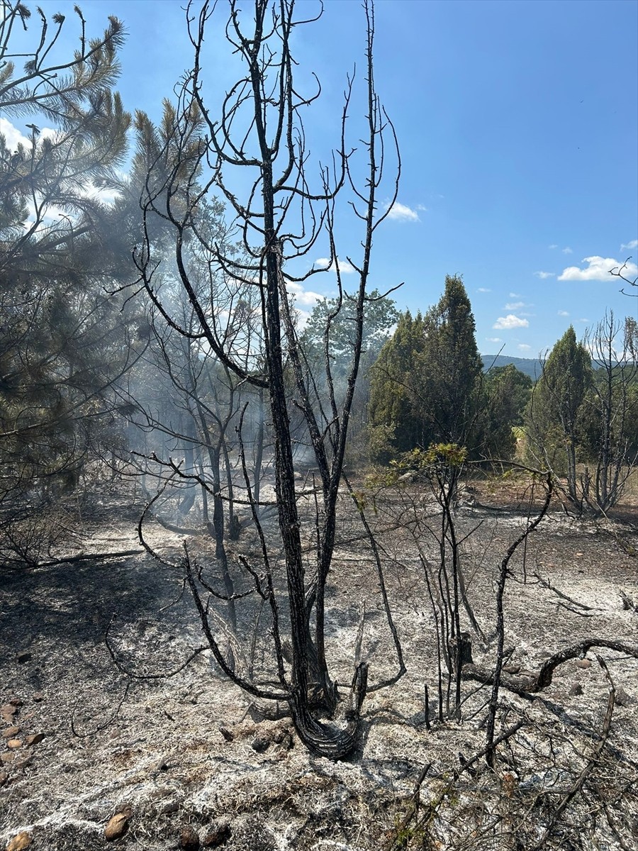 Bilecik’in Bozüyük ilçesinde çıkan arazi yangını kontrol altına alındı.