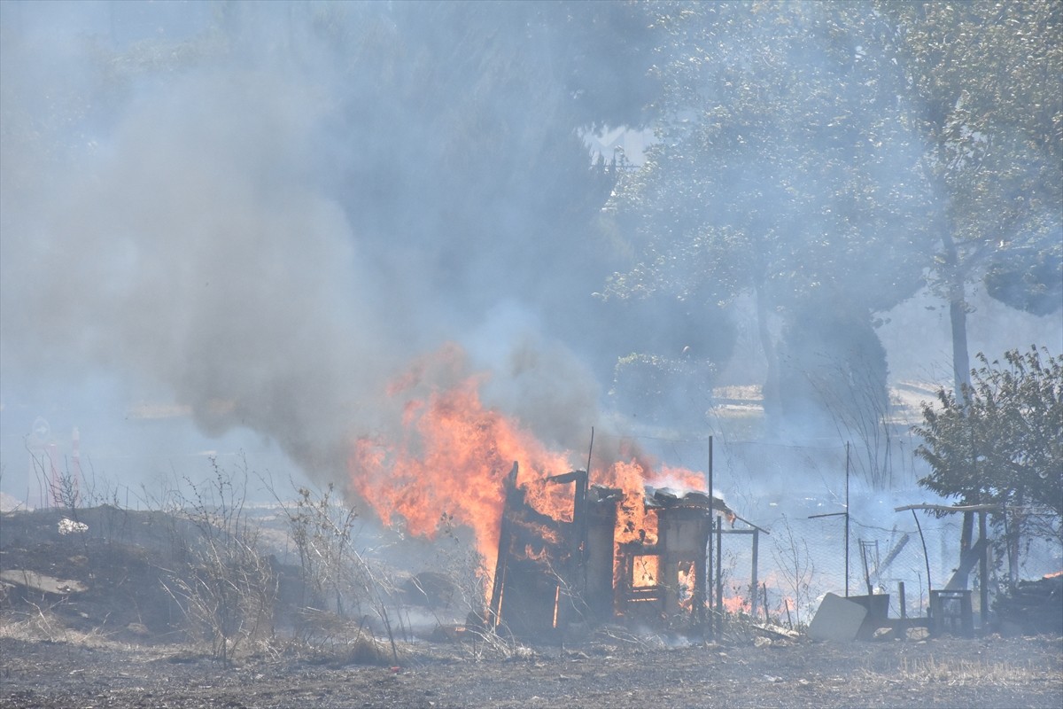 Bursa'nın Nilüfer ilçesinde yerleşim alanını tehdit eden anız yangını, ekiplerce kontrol altına...