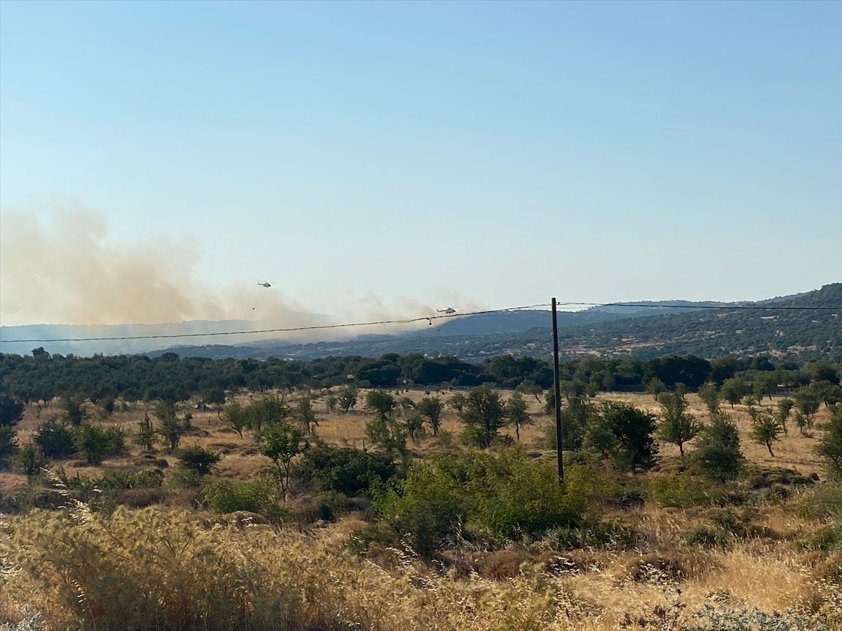 Çanakkale'nin Ayvacık ilçesinde ormanlık alanda başlayan yangına havadan ve karadan müdahale...