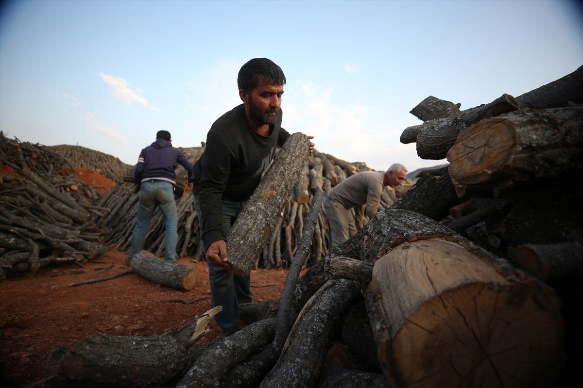 Diyarbakır ve Mardin'den Kayseri'nin Yahyalı ilçesine gelen işçiler, ekmek paralarını evlerinden...