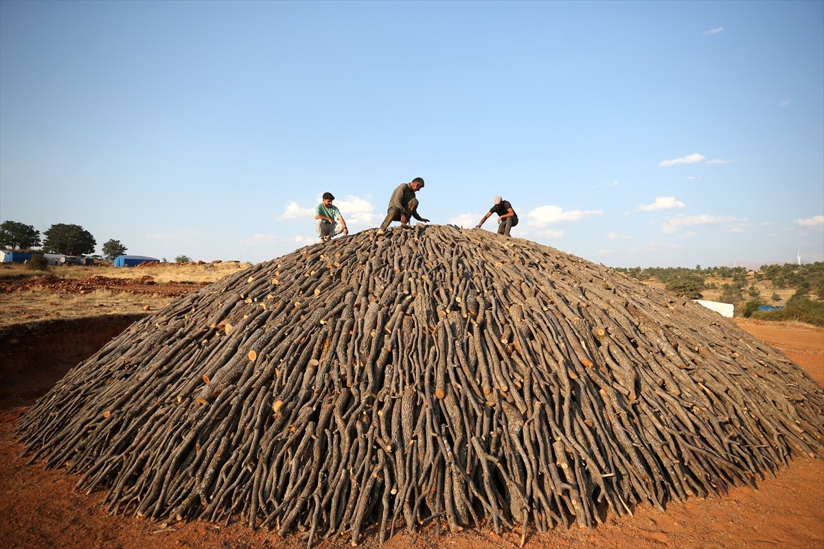 Diyarbakır ve Mardin'den Kayseri'nin Yahyalı ilçesine gelen işçiler, ekmek paralarını evlerinden...