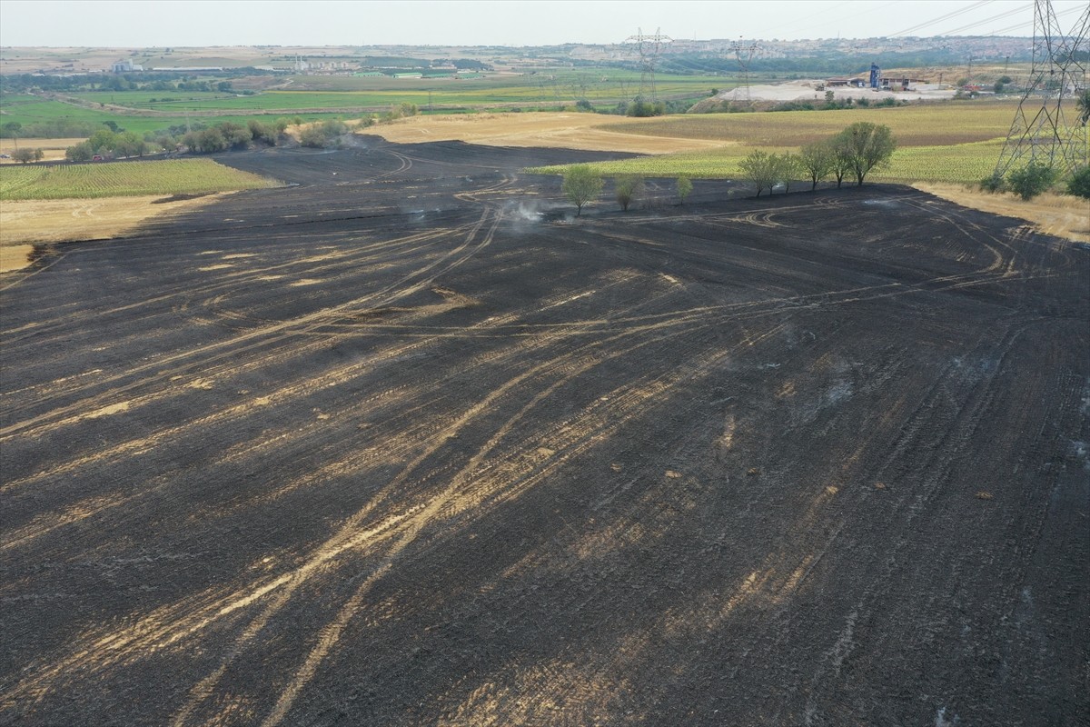 Edirne'de hasat edilmiş buğday tarlasında çıkan yangın, Orman İşletme Müdürlüğü ve itfaiye...