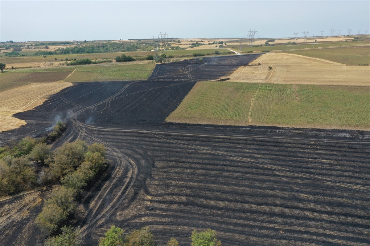 Edirne'de hasat edilmiş buğday tarlasında çıkan yangın, Orman İşletme Müdürlüğü ve itfaiye...