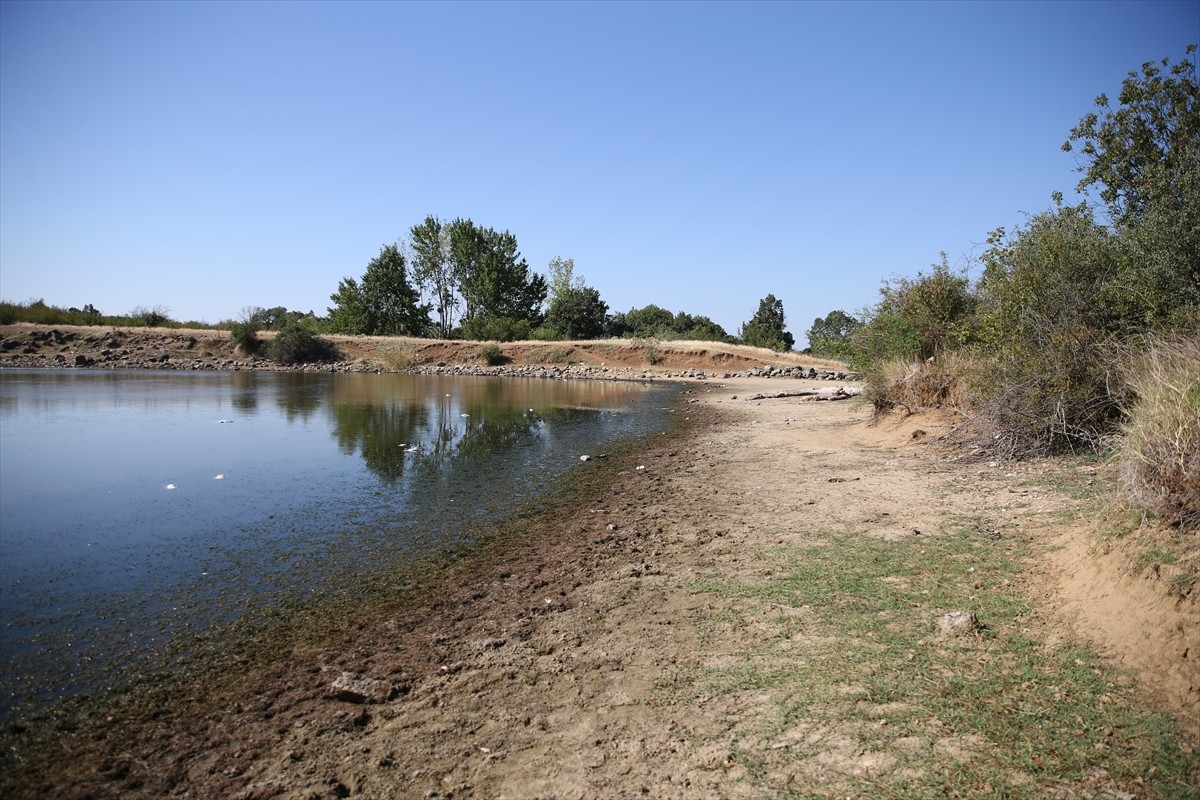 Edirne'nin Lalapaşa ilçesine bağlı Çömlekköy Göleti'nde, su seviyesinin düşmesine bağlı oksijen...