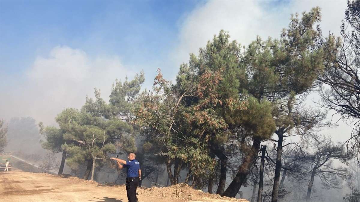 Gaziantep'te çıkan orman yangınına Orman İşletme Müdürlüğü ve Büyükşehir Belediyesi itfaiye...