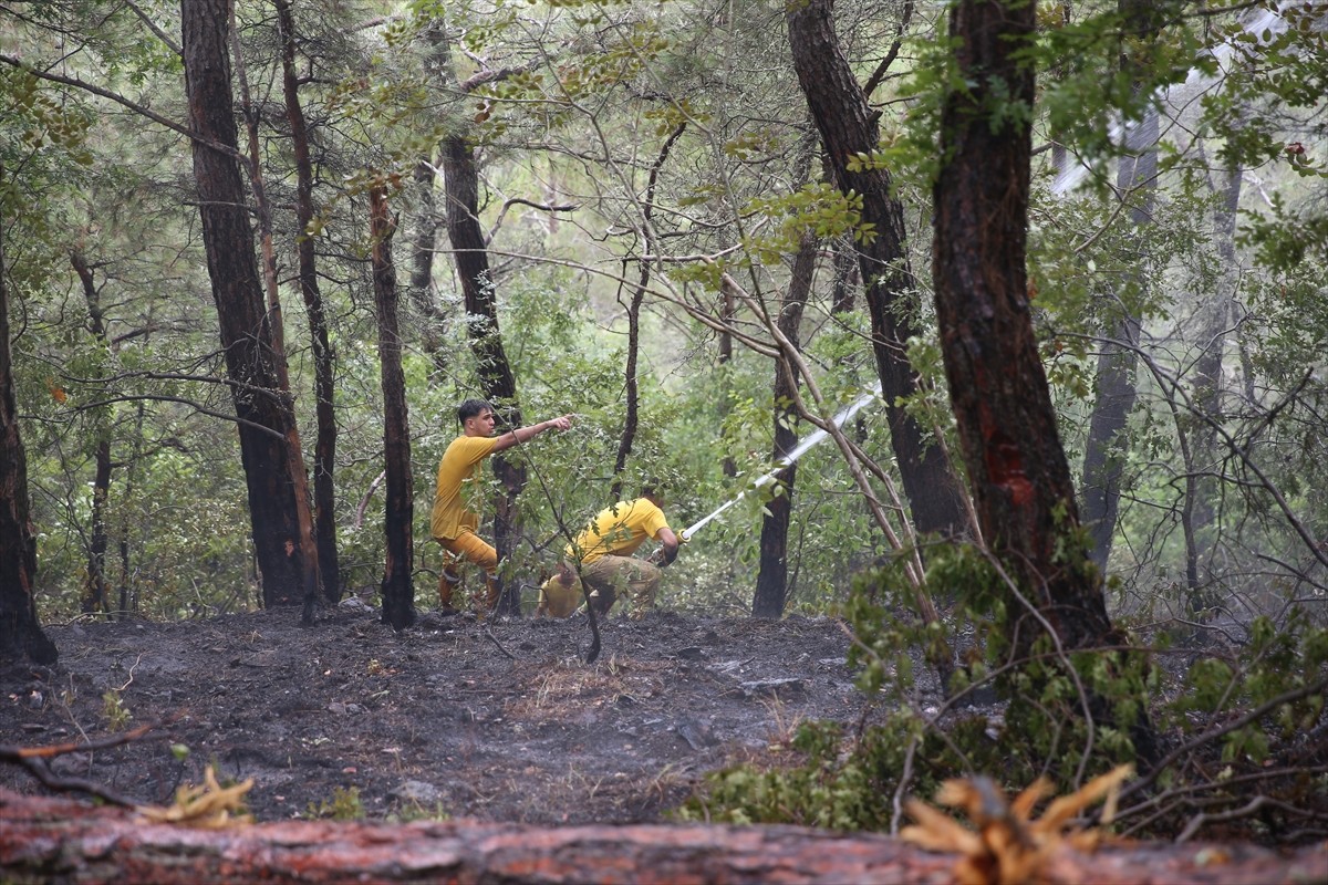 Hatay'ın Arsuz ilçesinde ormanlık alanda çıkan yangın, havadan ve karadan müdahaleyle kontrol...