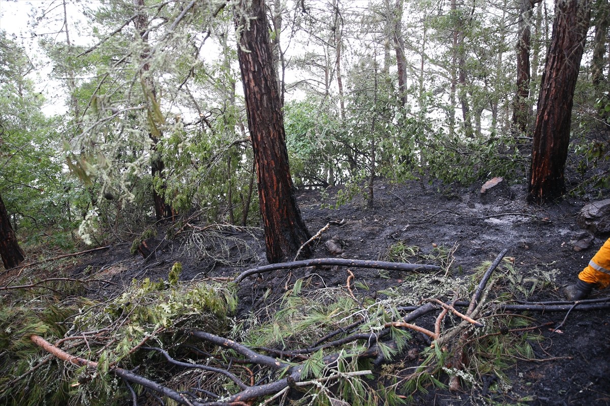 Hatay'ın Arsuz ilçesinde ormanlık alanda çıkan yangın, havadan ve karadan müdahaleyle kontrol...